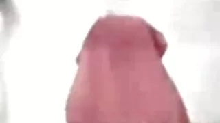 সেক্সি বাচ্চাদের বাং ...