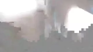 দুষ্টু বাচ্চাদের সম্ ...