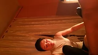 তিনটি বিস্ময়কর চিক  ...