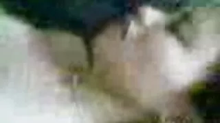 অ্যালেক্সিস টেক্সাস  ...