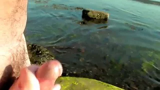 শৃঙ্গাকার চুদা চুদি  ...