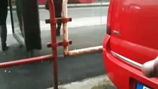 সুন্দর আকৃতির গাধা স ...