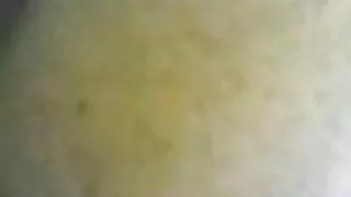 বুদ্ধিমান প্রলুব্ধকা ...