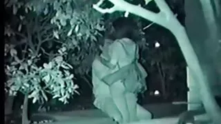 আবলুস বিবিডব্লিউ স্ল ...