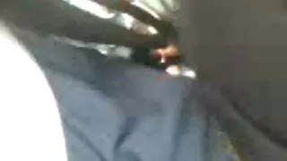 সুন্দরী এবং ভোঁদড় চ ...