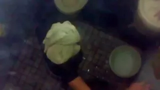 শৃঙ্গাকার এবং বন্য ছ ...