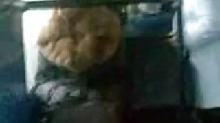 হর্নি সাদা প্রফেসর ট ...