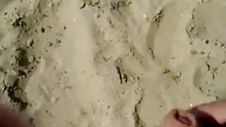 ডিভাইন বেব অ্যালিসন  ...