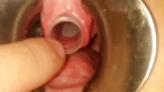 ফ্রিস্কি চিক ল্যাটেক ...