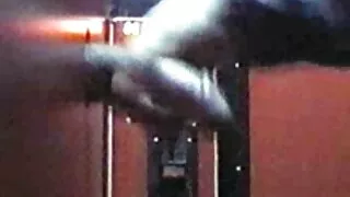 শ্যামাঙ্গিনী কুক্কুট ...