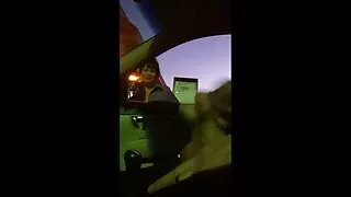 লম্পট স্বর্ণকেশী নেস ...